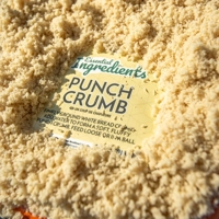 Sonubaits Essential Ingredients Punch Crumb 700g